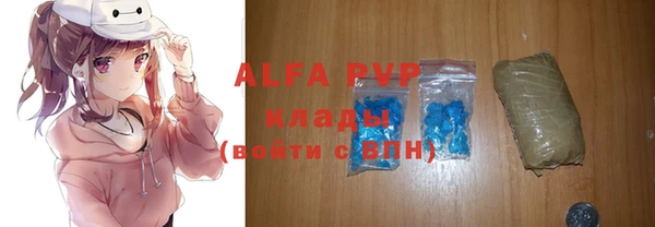 экстази Бородино