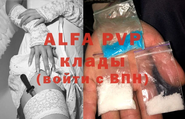 экстази Бородино